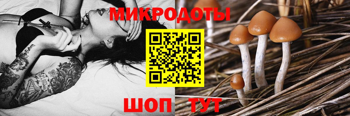 Псилоцибиновые грибы Magic Shrooms Лысьва